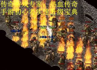 传奇游戏专家：热血传奇手游初心者疾速升级宝典