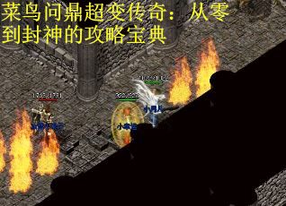 菜鸟问鼎超变传奇：从零到封神的攻略宝典