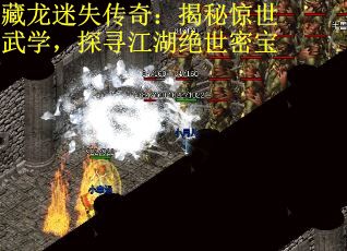 藏龙迷失传奇：揭秘惊世武学，探寻江湖绝世密宝