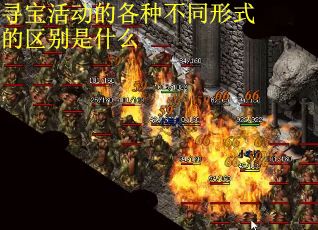 寻宝活动的各种不同形式的区别是什么