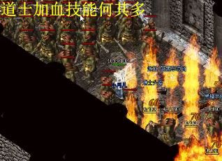 道士加血技能何其多