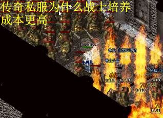 传奇私服为什么战士培养成本更高