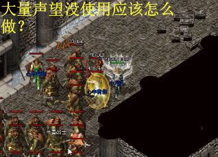 大量声望没使用应该怎么做？