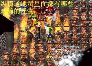 纵横道地图里面都有哪些难缠的怪物