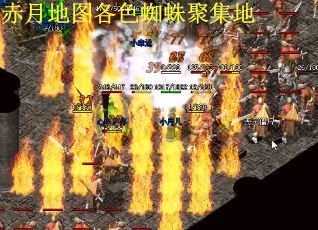 赤月地图各色蜘蛛聚集地