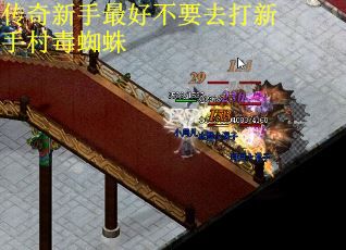 传奇新手最好不要去打新手村毒蜘蛛