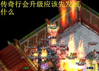 传奇行会升级应该先发展什么