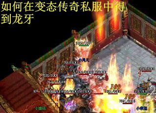 如何在变态传奇私服中得到龙牙