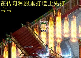 在传奇私服里打道士先打宝宝