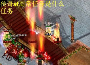 传奇sf周常任务是什么任务