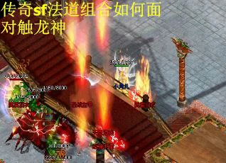 传奇sf法道组合如何面对触龙神