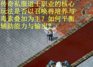 传奇私服道士职业的核心玩法是否以召唤兽培养与毒素叠加为主？如何平衡辅助能力与输出？