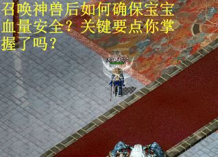 召唤神兽后如何确保宝宝血量安全？关键要点你掌握了吗？