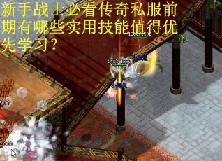 新手战士必看传奇私服前期有哪些实用技能值得优先学习？