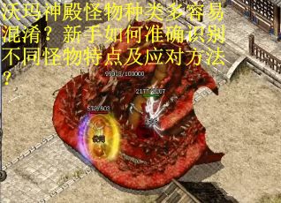 沃玛神殿怪物种类多容易混淆？新手如何准确识别不同怪物特点及应对方法？