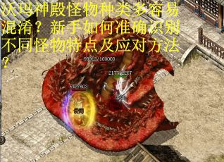 沃玛神殿怪物种类多容易混淆？新手如何准确识别不同怪物特点及应对方法？