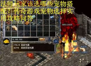 法师玩家该选哪些宠物搭配？传奇游戏宠物选择实用攻略问答