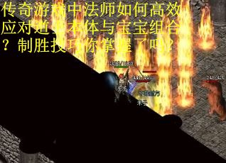 传奇游戏中法师如何高效应对道士本体与宝宝组合？制胜技巧你掌握了吗？