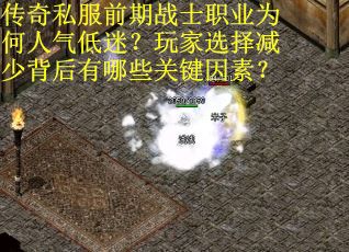 传奇私服前期战士职业为何人气低迷？玩家选择减少背后有哪些关键因素？