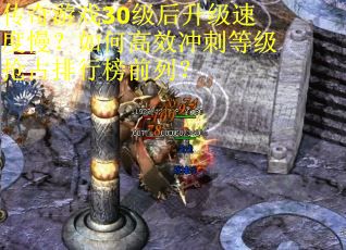传奇游戏30级后升级速度慢？如何高效冲刺等级抢占排行榜前列？