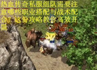 热血传奇私服组队需要注意哪些职业搭配与战术配合？这份攻略教你高效开黑