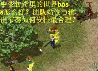 中变传奇里的世界boss怎么打？团队站位与输出节奏如何安排最合理？