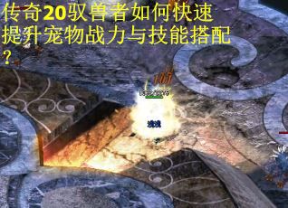 传奇20驭兽者如何快速提升宠物战力与技能搭配？