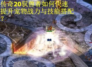 传奇20驭兽者如何快速提升宠物战力与技能搭配？