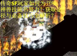 传奇SF玩家如何为召唤神兽技能书努力？获取途径与必备技巧全解析？