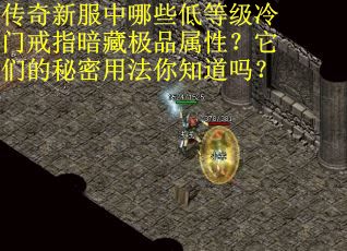 传奇新服中哪些低等级冷门戒指暗藏极品属性？它们的秘密用法你知道吗？