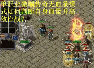 单职业微端传奇无血条模式如何判断自身血量并高效作战？