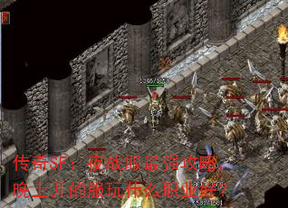 SFҹսǿԣϿķʲôְҵã