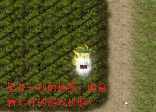 꼻һֵĵͼϷƣ