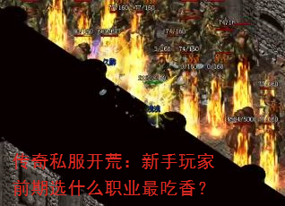 ˽ģǰѡʲôְҵ㣿