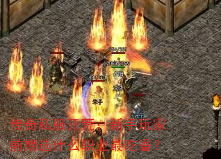 ˽ģǰѡʲôְҵ㣿