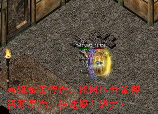 Ӣۺϻ棺ָԴ;ս