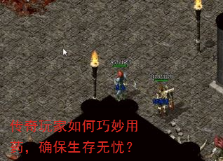 ҩȷǣ