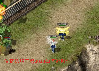 ˽BOSSα