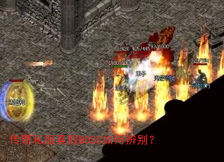 ˽BOSSα