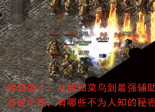 ʿɲǿ֮·ЩΪ֪ܣ