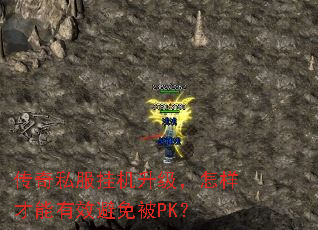 ˽һЧⱻPK