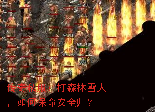 ˽ɭѩˣαȫ飿