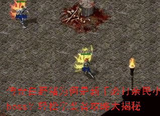 ҰΪֱشСbossװԴ