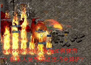 sf999Ӿʹãʵսȫ