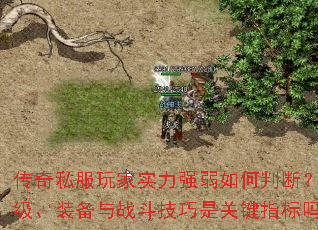 ˽ʵǿжϣȼװսǹؼָ