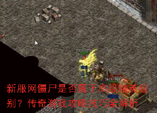 新服网僵尸是否属于高级精英级别?传奇游戏攻略技巧全解析 新服网僵尸是否属于高级精英级别?传奇游戏攻略技巧全解析