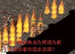 传奇巨型多角虫为何成为新手玩家的最佳起步选择? 传奇巨型多角虫为何成为新手玩家的最佳起步选择?