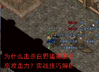 ΪʲôɱҰҪ߹ʵսɽ