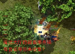 魔法大厅隐藏着哪些稀有套装等你来收集? 魔法大厅隐藏着哪些稀有套装等你来收集?