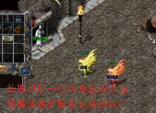 ֻһ봫Ӧѡʺϵְҵչ·ߣ